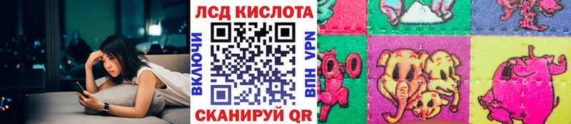 Марки NBOMe 1500мкг где купить наркоту Новозыбков