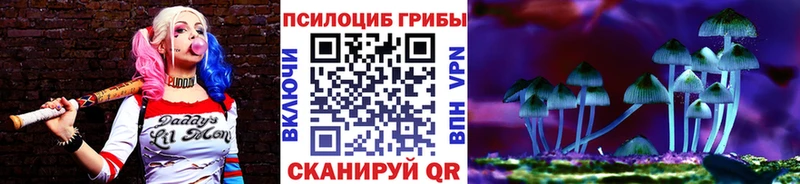 OMG как войти  Новозыбков  Псилоцибиновые грибы Psilocybine cubensis 
