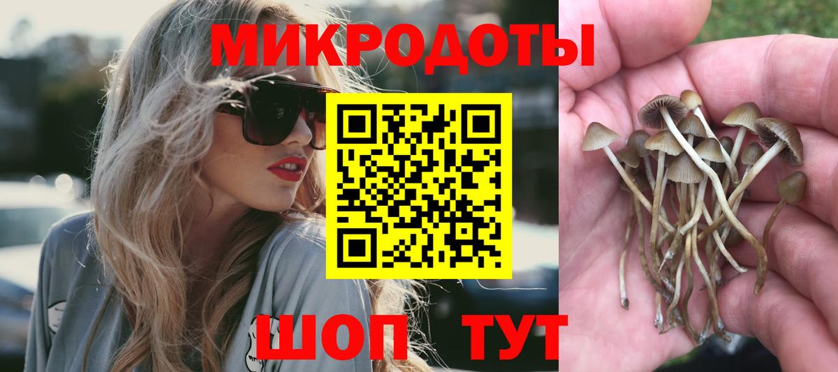 Псилоцибиновые грибы прущие грибы Новозыбков