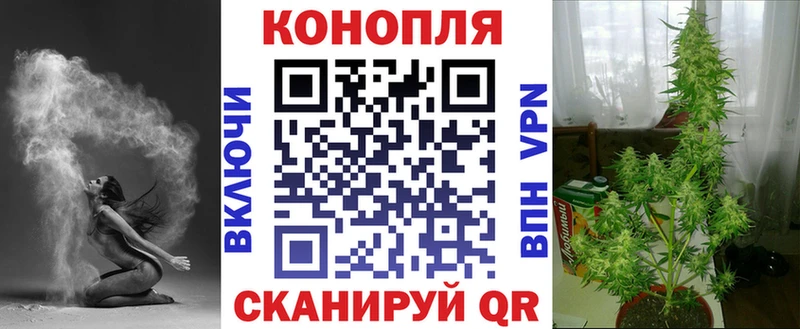 закладки ОМГ ОМГ ССЫЛКА Марихуана Ganja Новозыбков