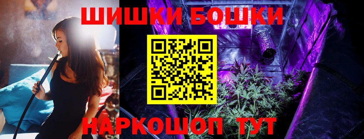 Каннабис Ganja  Бошки Шишки план  МАРИХУАНА THC 21%  Вход с VPN  Новозыбков 